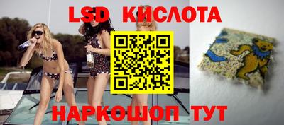 гидропоника Бийск