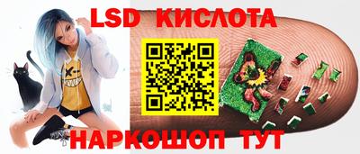 гидропоника Бийск