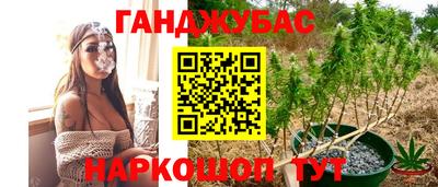 стафф Берёзовский