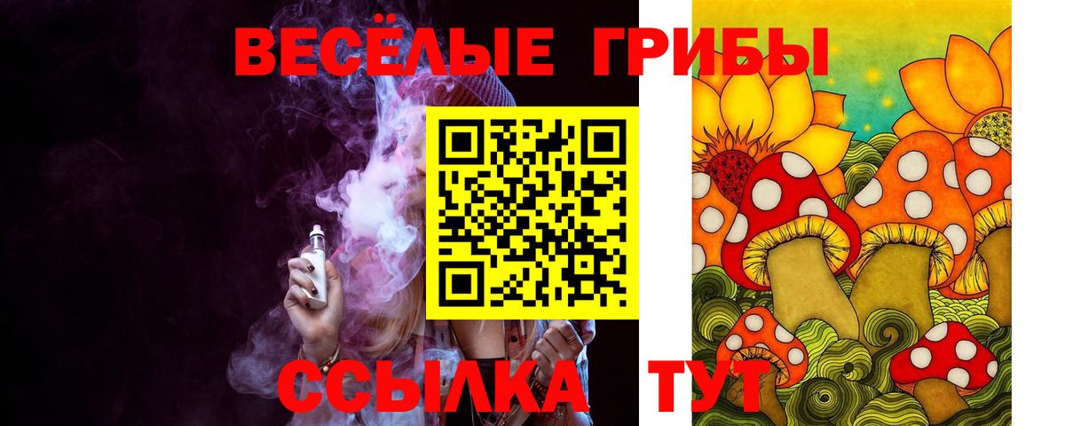 Вязники  Псилоцибиновые грибы Cubensis  Вход с VPN  Псилоцибиновые грибы Magic Shrooms 